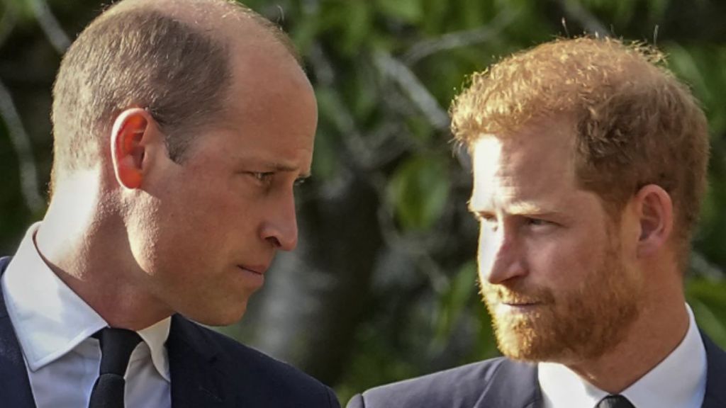 الأمير ويليام والأمير هاري (إنترنت)