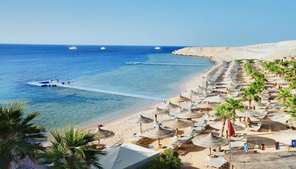 لبنانيون عالقون في شرم الشيخ... ماذا ستفعل الدولة؟