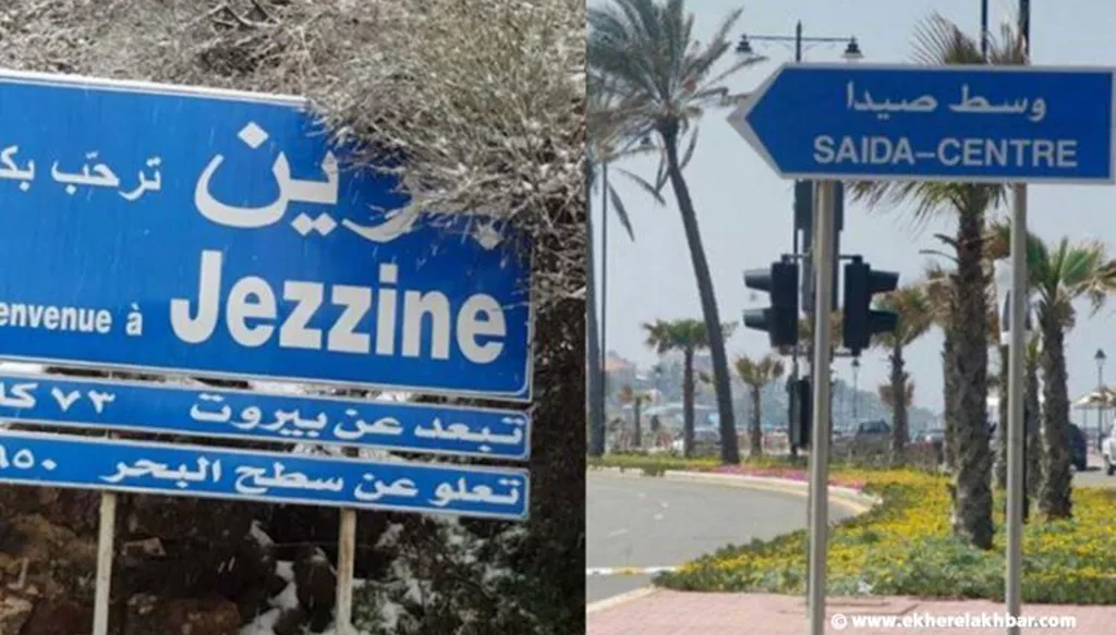 حركة صيداوية جزينية