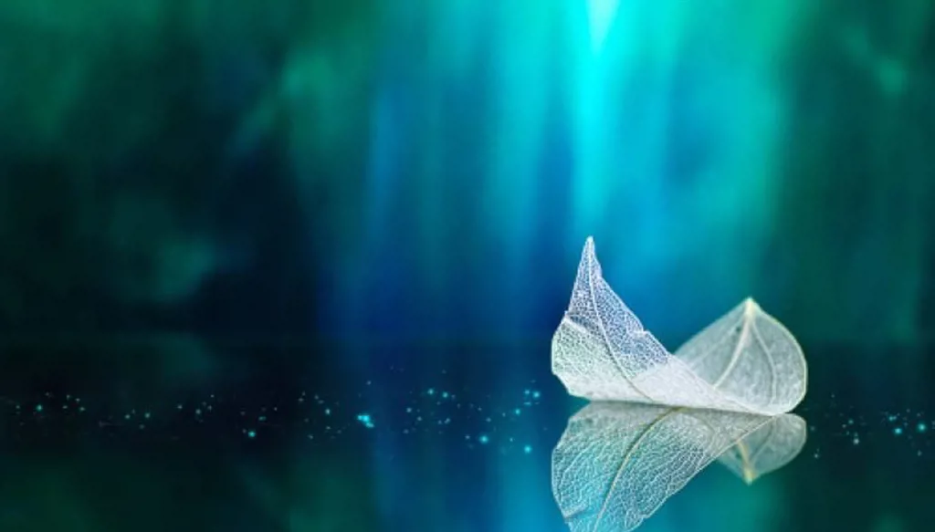 إنها الليلة الأولى