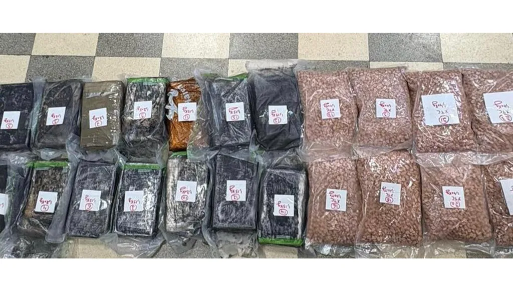 لبنان... تفكيك شبكة تهريب مخدرات بالتّعاون مع الداخليّة السعوديّة (صور)