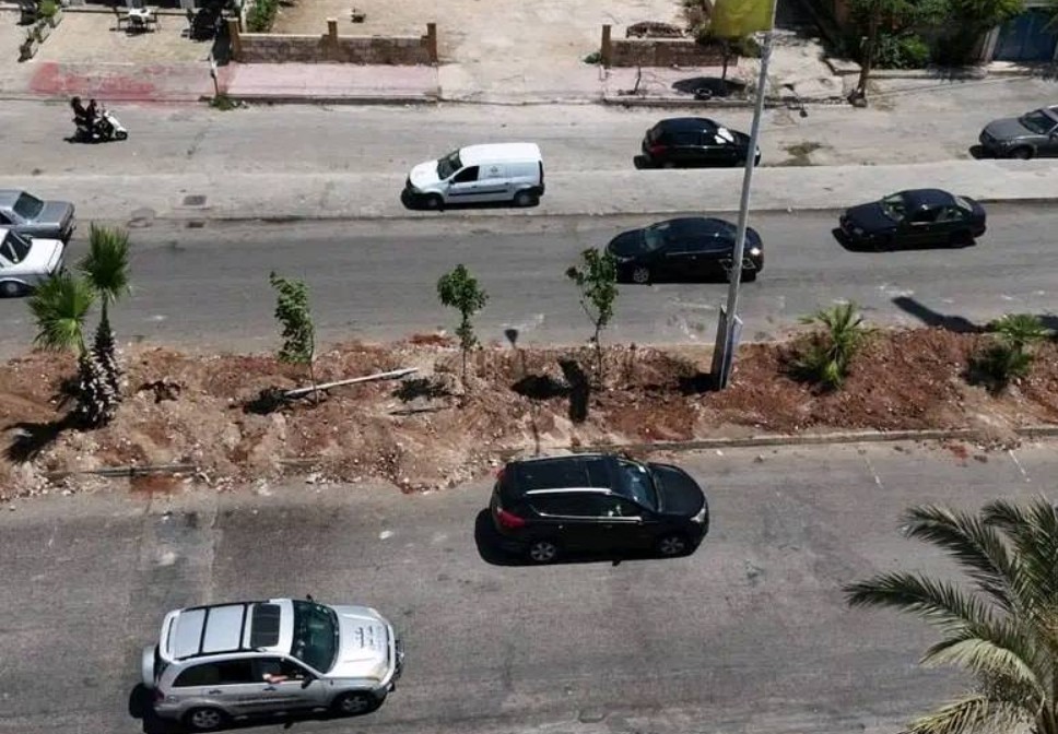 من حملة التشجير في صور (بلدية صور).