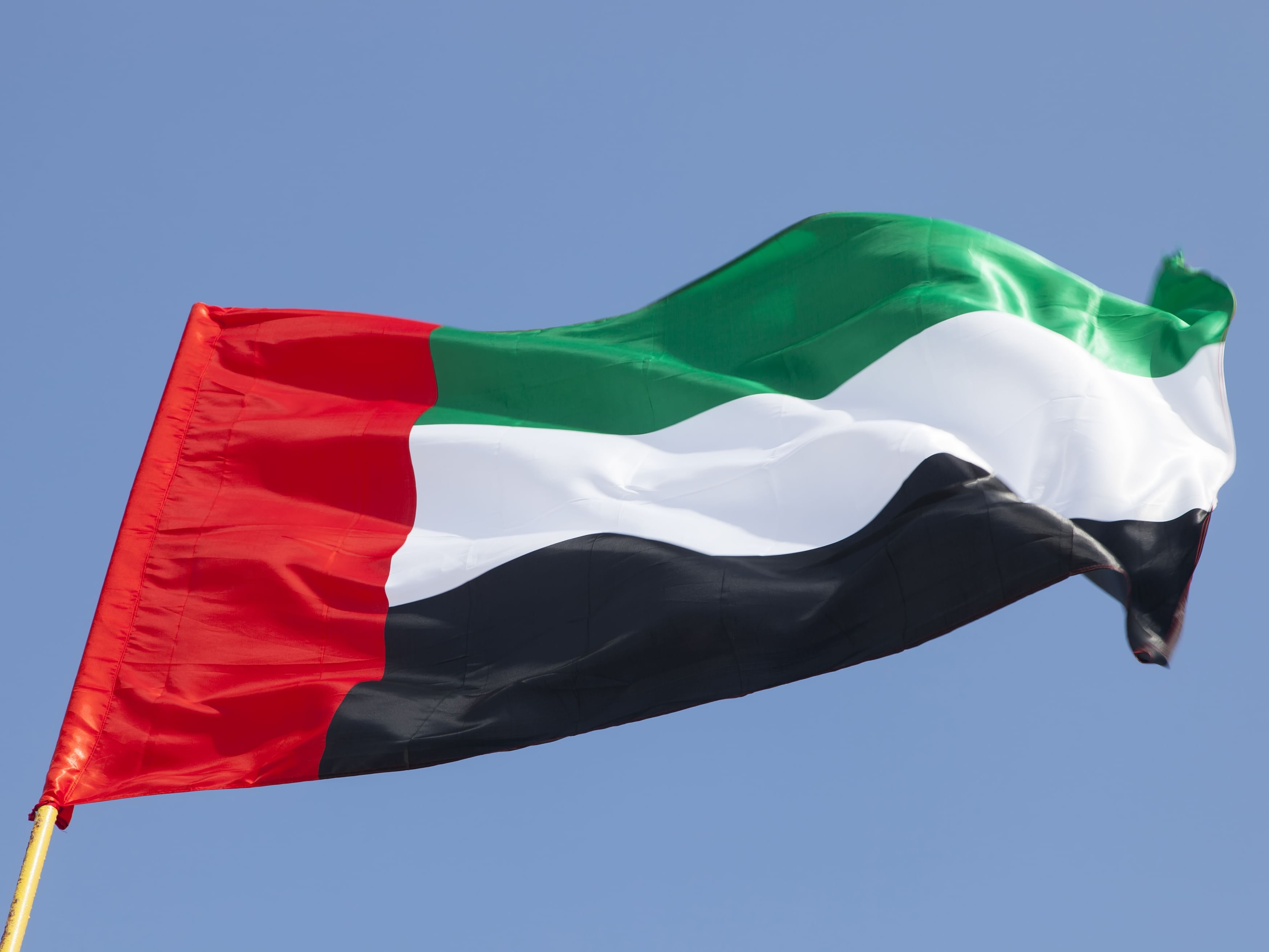 العلم الاماراتي 