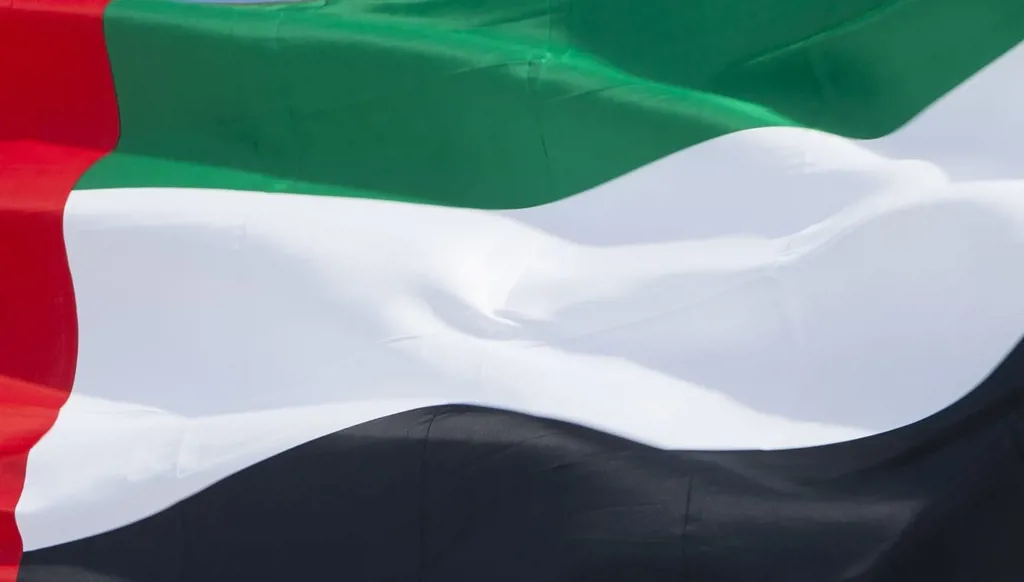 الإمارات تُعزّي النيجر بضحايا حادث تصادم بين حافلتين