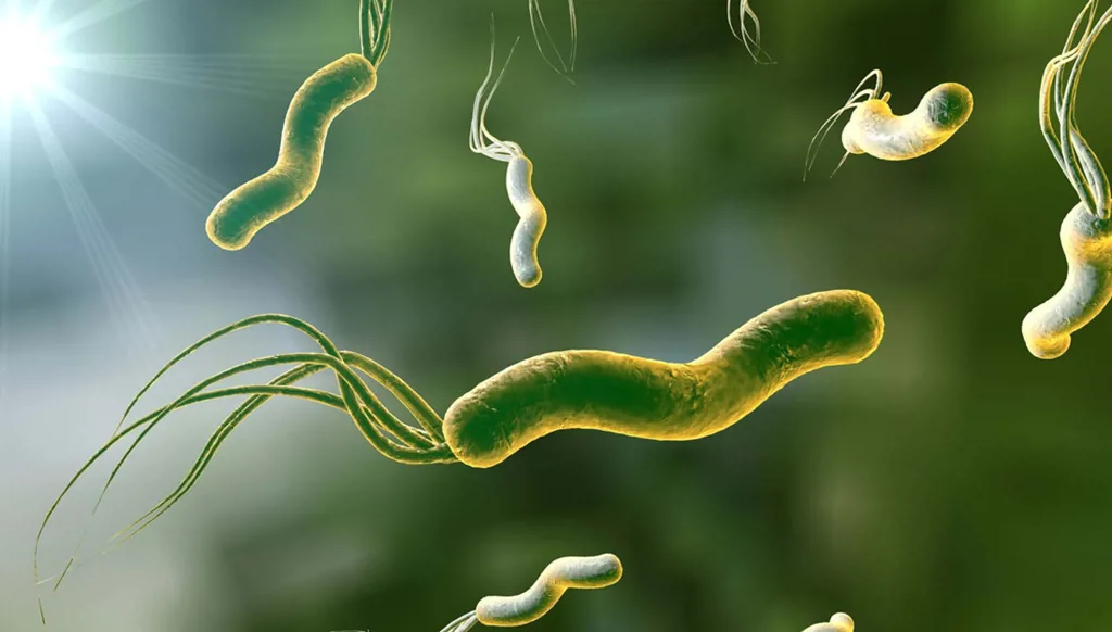 أول حالة إصابة بشرية بداء الدودة الحلزونية في المكسيك