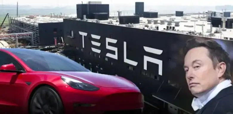 استياء بعض المستثمرين من تركيز ‏إيلون ماسك على البيت الأبيض (وكالات)‏