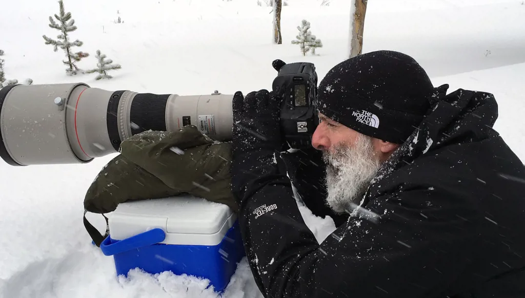 معرض ميشال زغزغي في منزل موليير: رحلة عبر ممالك مهدّدة