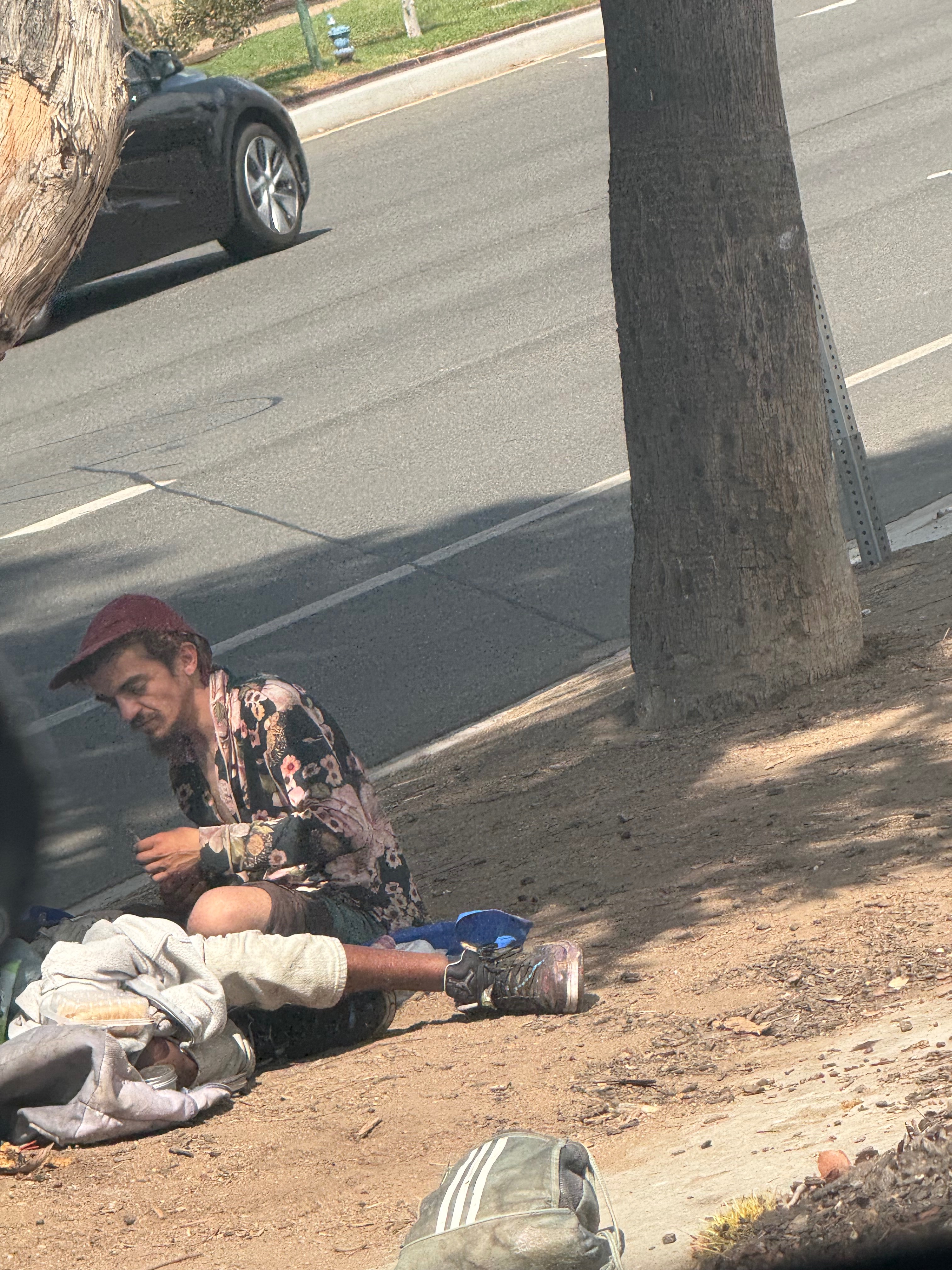 تايلور تشيس مشرداً (سوشيال ميديا)