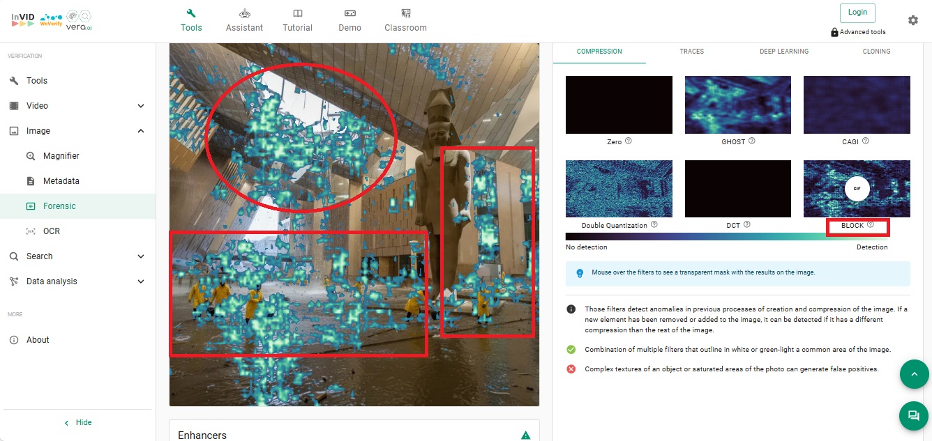 نتيجة فحص الصورة بواسطة Invid