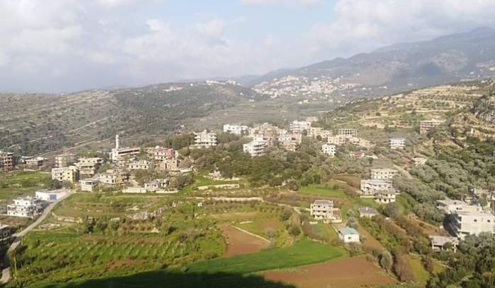 الحويش. (أرشيفية)
