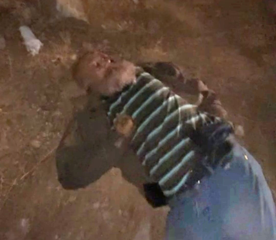  جثة  