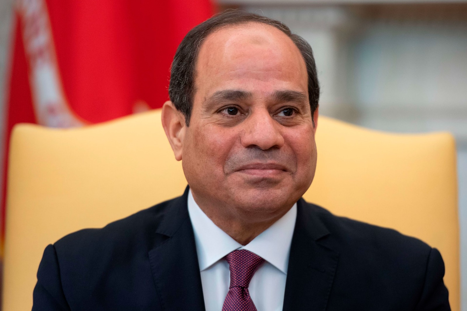 السيسي. (ارشيفية)