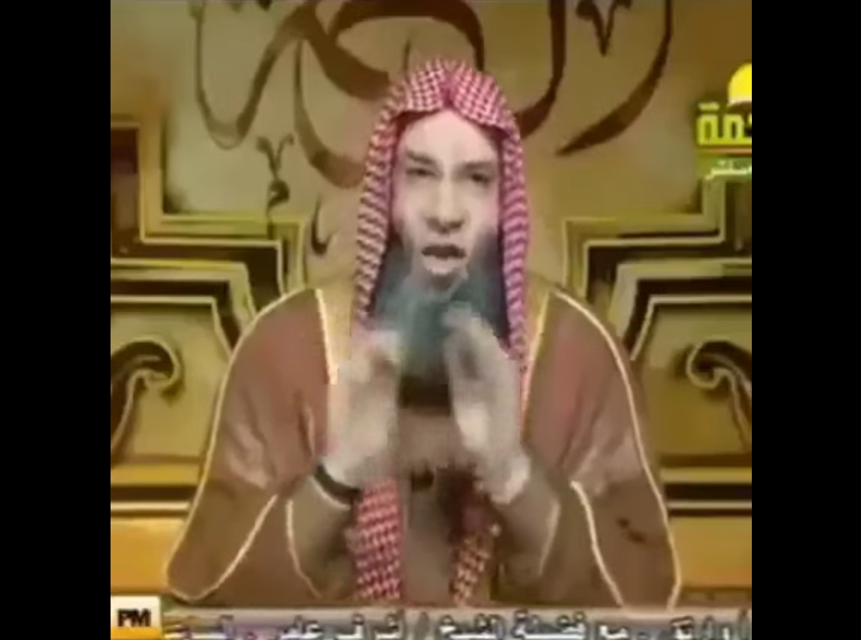 صورة من مقطع فيديو للشيخ محمد حسان يفتي فيه بأن الاستحواذ على الآثار حلال باعتبارها ركازاً (النهار)