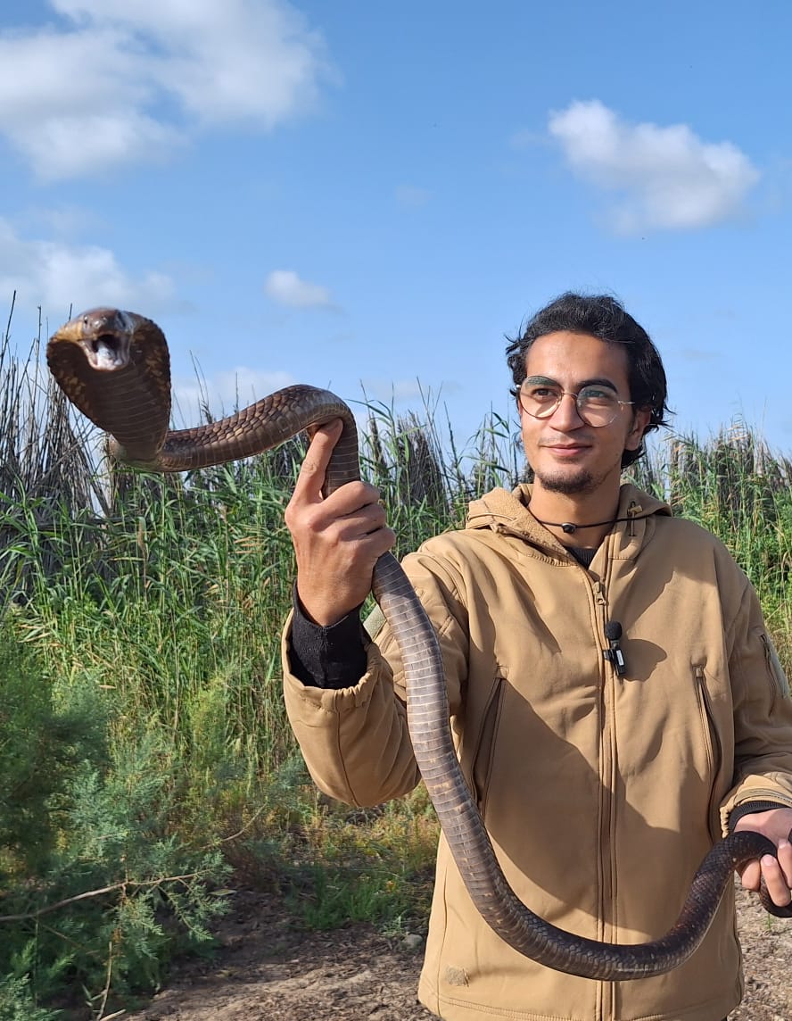 محمد وجيه ممسكاً بكوبرا مصرية - (خاص)