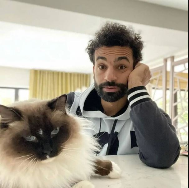 محمد صلاح (اكس)
