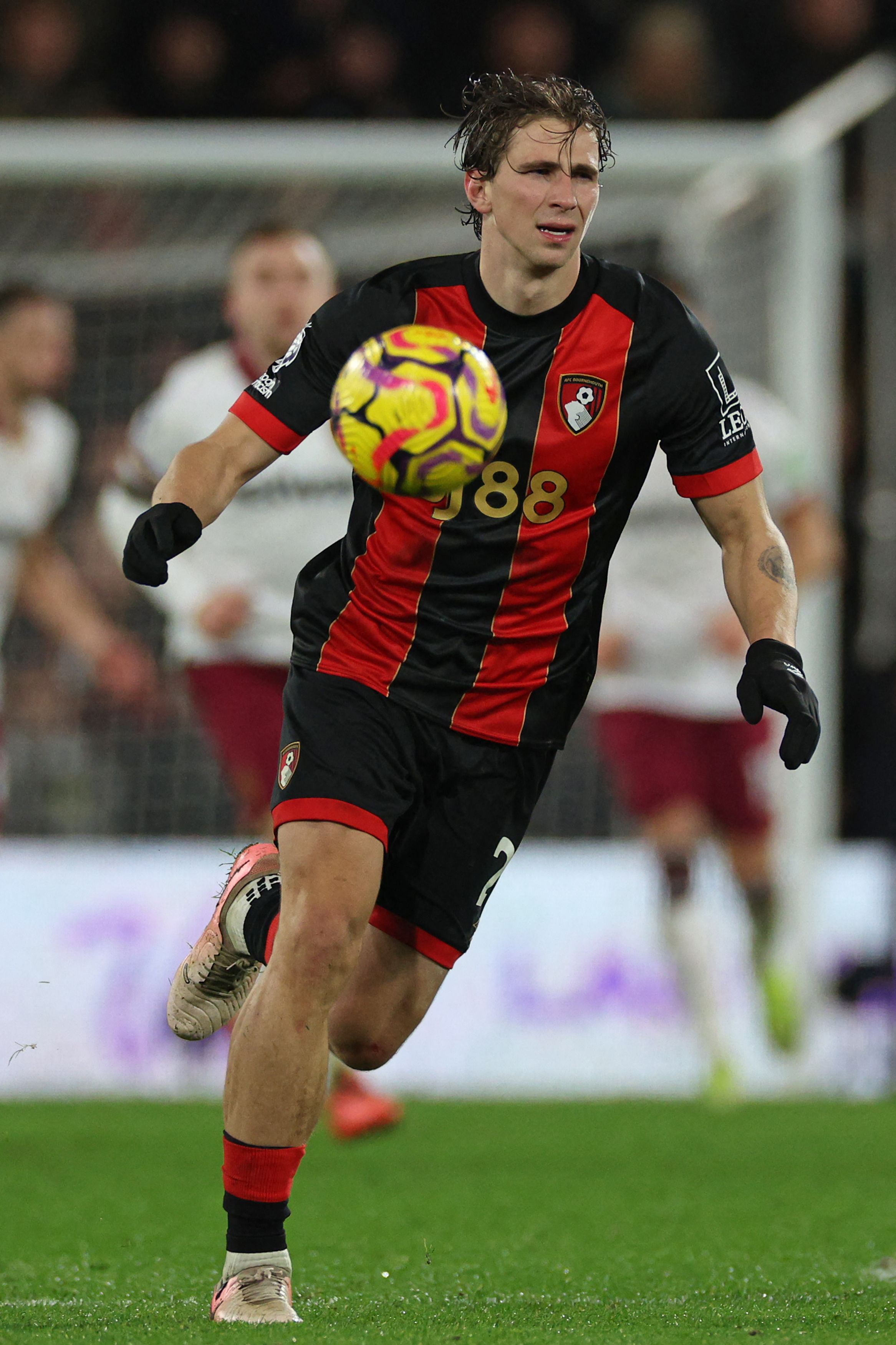 إيليا زابارني (أ ف ب)