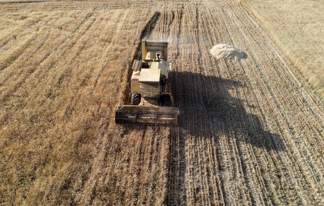 أزمة إمدادات الأسمدة (وكالات)