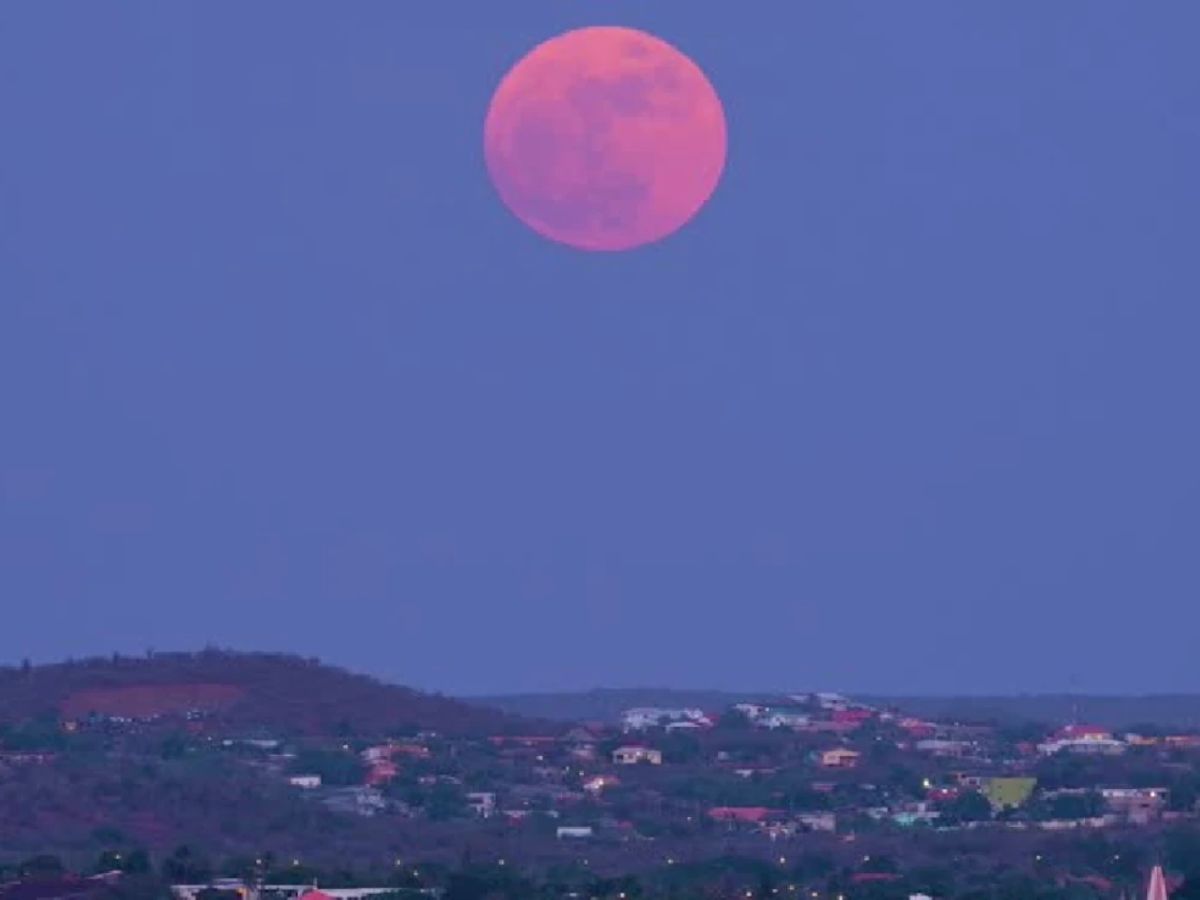 القمر الوردي (سوشيال ميديا)