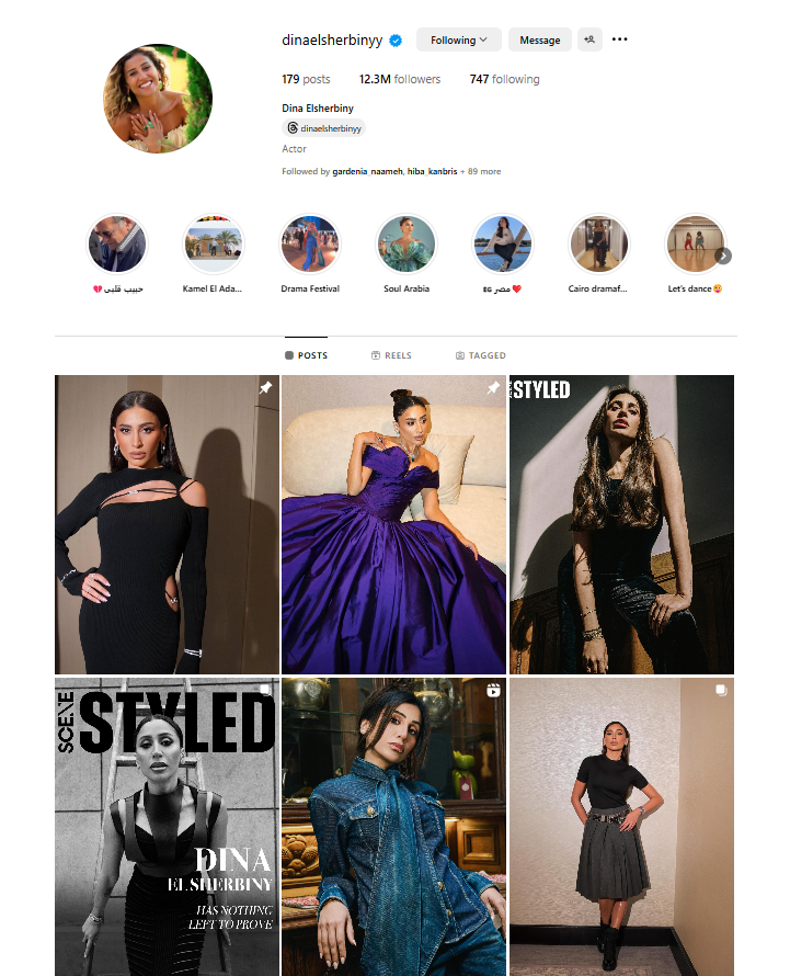 حساب دينا الشربيني على