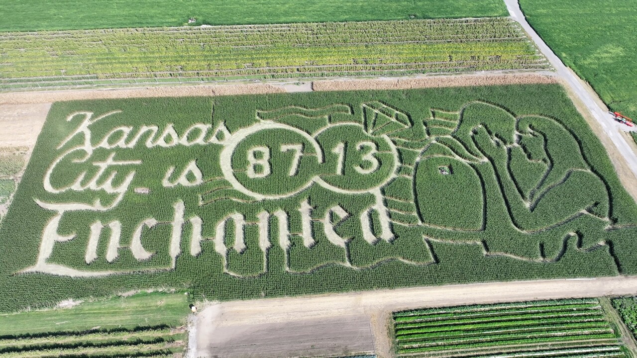 حقل الذرة في كنساس (سوشيال ميديا)