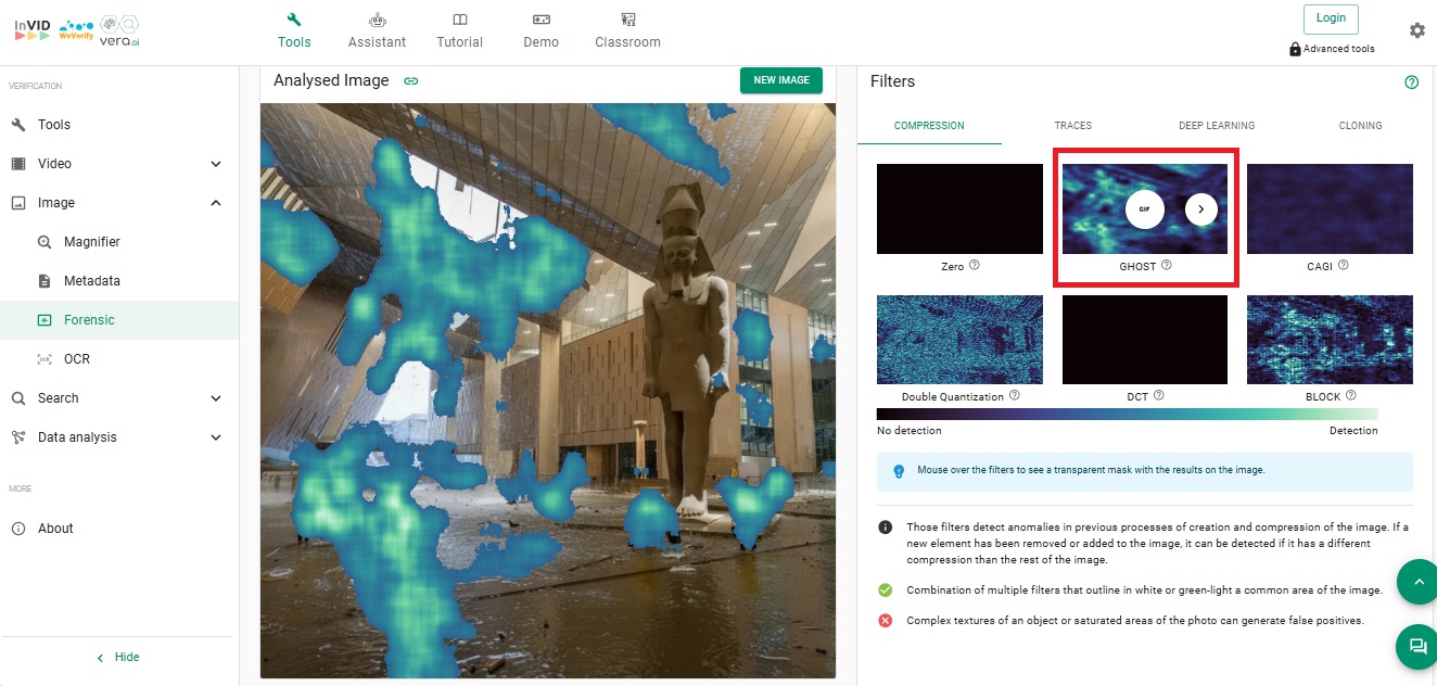 نتيجة فحص الصورة بواسطة Invid