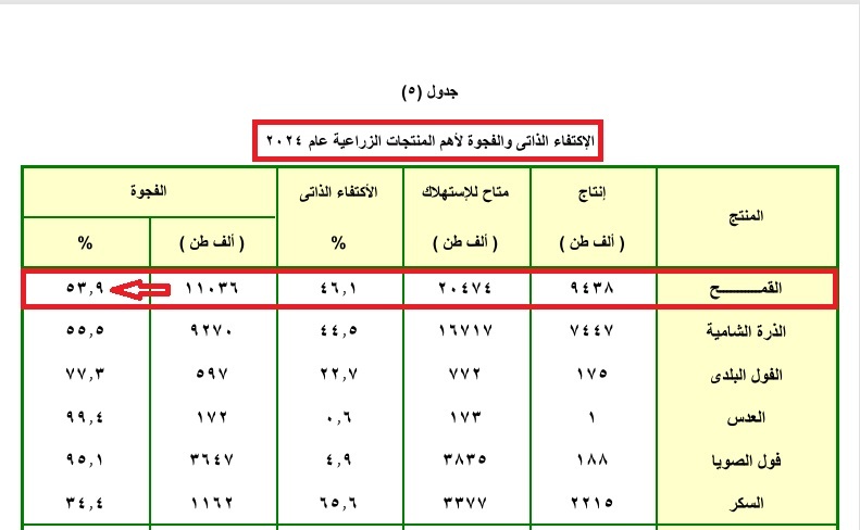لقطة لنشرة الميزان الغذائي لمصر لعام 2024