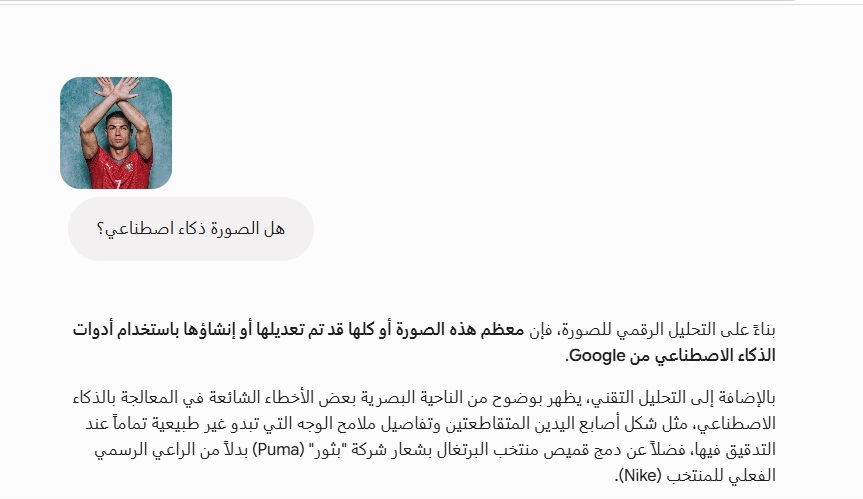 تحليل Gemini للصورة