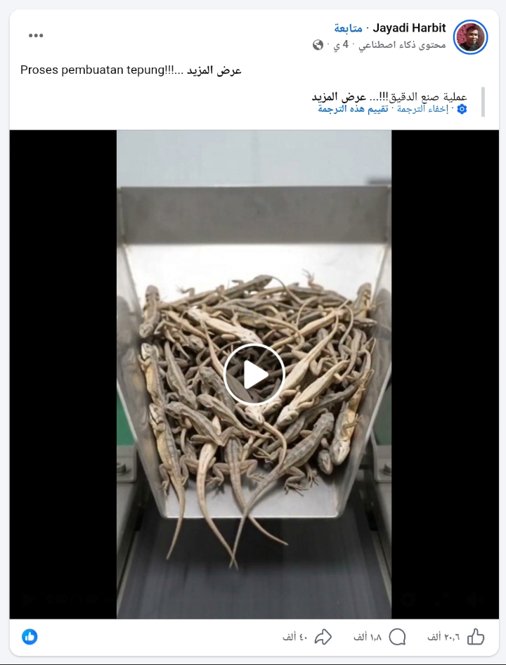 لقطة من الفيديو المنشور في حساب Jayadi Harbit (فايسبوك)