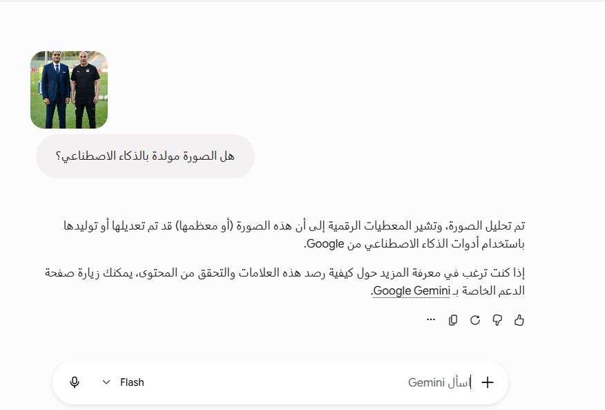نتيجة تحليل الصورة بواسطة Gemini