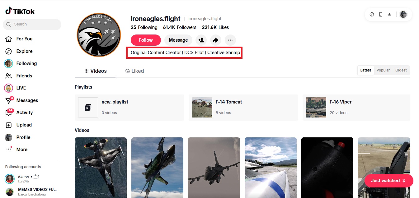 لقطة لحساب ironeagles.flight@ في تيك توك