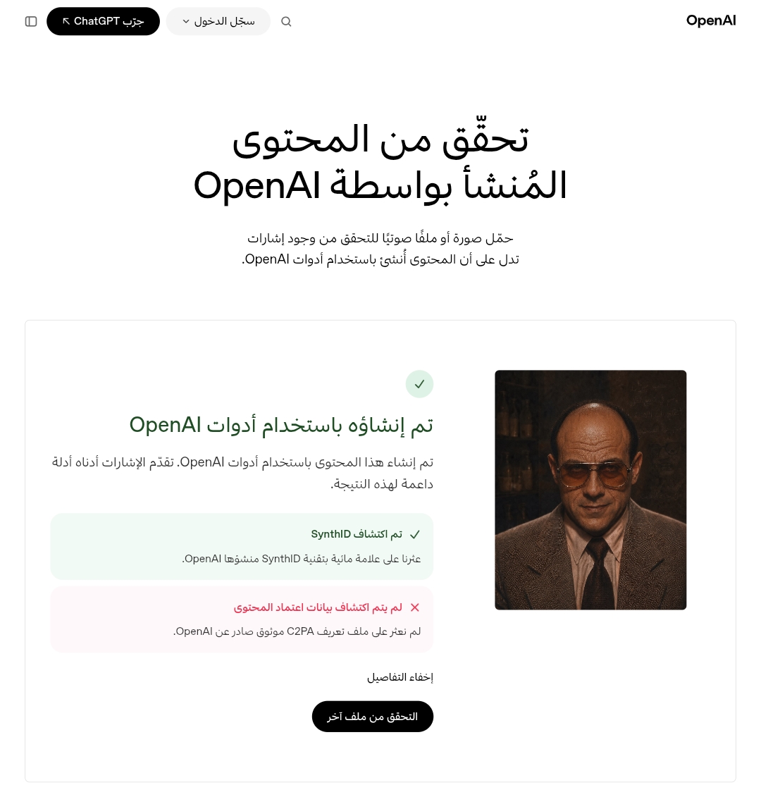 نتيجة فحص الصورة المتداولة باستخدام OpenAI