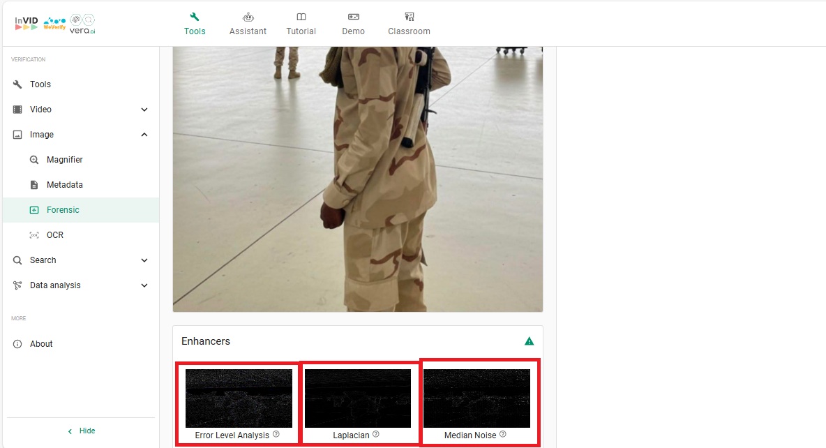 نتيجة تحليل الصورة بواسطة Invid