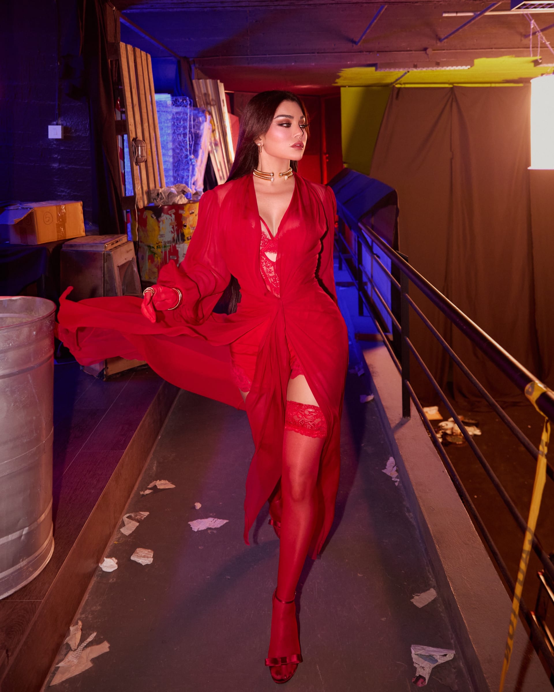 هيفاء وهبي (سوشيال ميديا)