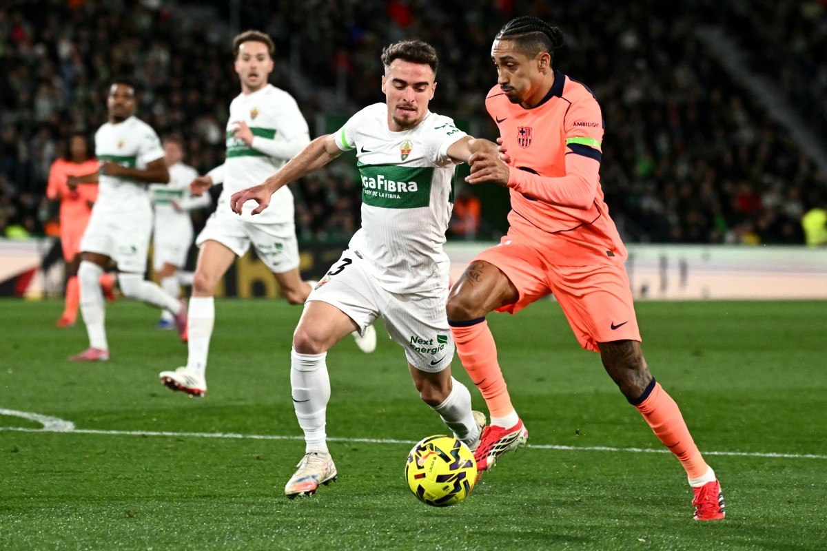 رافينيا. (أ ف ب)