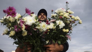 قطف الزهور في قطاع غزة بفلسطين المحتلة (تعبيرية- "أ ف ب").