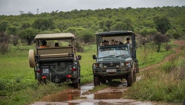 جولة في محمية دينوكنغ بالقرب من هامانسكرال جنوب أفريقيا (5 ك1 2021، ا ب). 