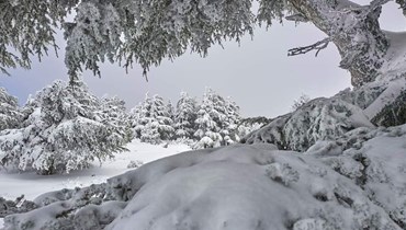 الثلوج تغطي الأراضي اللبنانية (النهار).