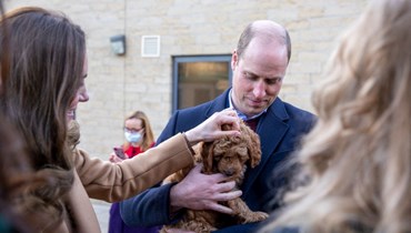 الأمير وليام يحمل جروًا علاجيًا خلال زيارته وزوجته كاثرين لمستشفى كليثرو المجتمعي في شمال شرق إنكلترا (20 ك2 2022، أ ف ب). 