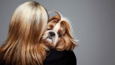 8 أسباب لتبنّي كلب والتخلّي عن صديقك