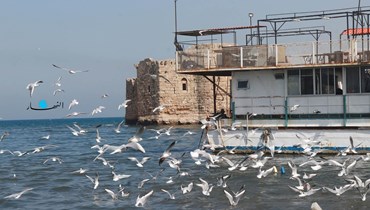 ميناء قلعة صيدا (أحمد منتش).