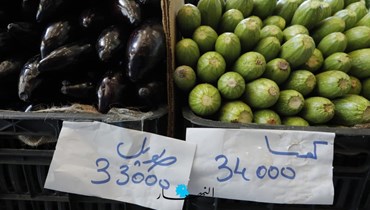 غلاء أسعار الخضروات (نبيل اسماعيل).