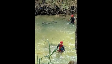  العثور على جثة طفل سوري في نهر الأولي.