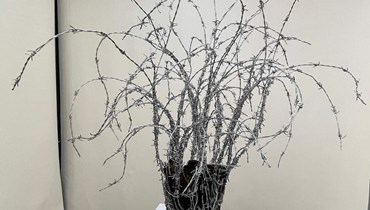 "شجرة زيتون" لأحمد قطناني (من المعرض).