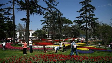 من حديقة إميغران المليئة بأزهار التوليب في اسطنبول (أ ف ب).