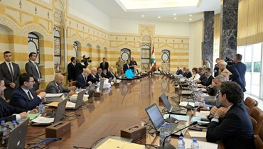 جلسة سابقة لمجلس الوزراء (نبيل إسماعيل).
