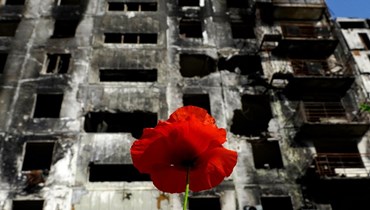 صورة لزهرة خشخاش حمراء قرب مبنى سكني مدمر في ماريوبول (31 أيار 2022، أ ف ب). 