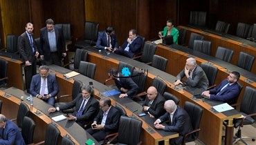 مشهد من مجلس النواب اليوم (نبيل إسماعيل).