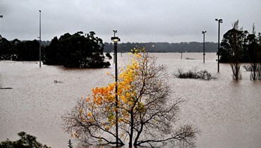 فيضانات في سيدني (أ ف ب).