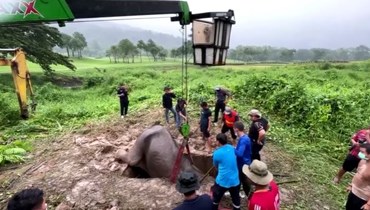 لقطة شاشة من فيديو انقاذ انثى الفيل ورضيعها (وكالة رويترز- 14 تموز 2022).