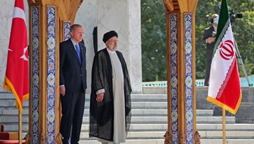 الرئيس الإيراني يستقبل نظيره التركي في طهران (أ ف ب).